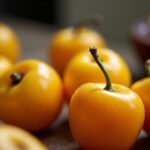 Devenez un expert en confiture : la recette incontournable de mirabelles à ne pas manquer