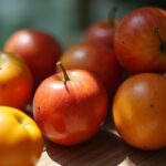 Fruits en V : Explorez la sélection savoureuse des délices fruités débutant par la lettre V