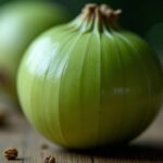 L’oignon vert : un trésor culinaire aux mille vertus à découvrir